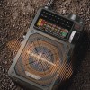 Multifunktionaler Notstrom-Handgenerator für den Auenbereich mit Solarstrom-Ladegert