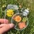 Transparente Trockenblumen-Lesezeichen