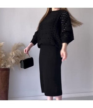 Herbst-NeuankünfteGestricktes durchbrochenes langrmeliges Top & rmelloses Kleid Set