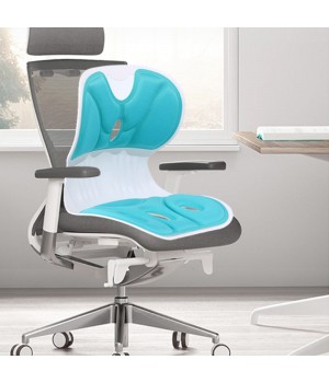 Ergonomisches Lendenstützkissen für Bürostühle